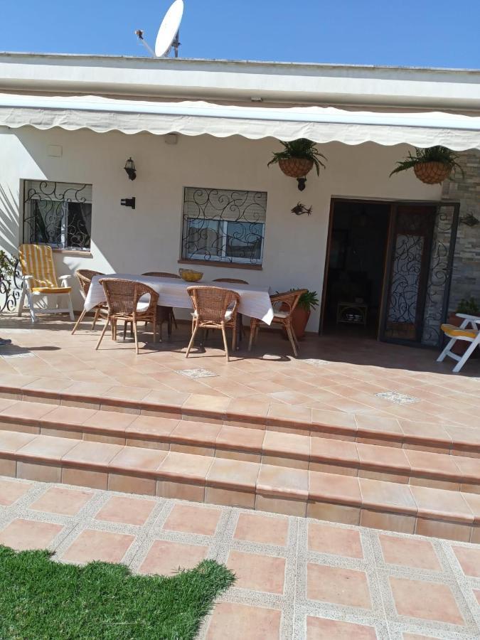 Las Palmeras Vinarós 외부 사진